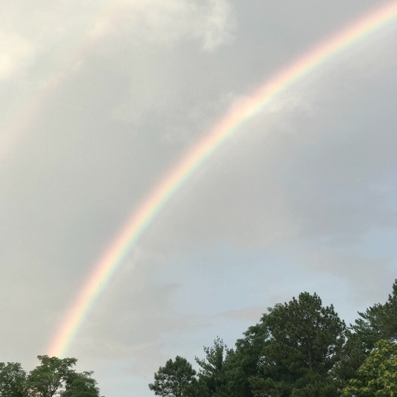 Meet your Posher, Tammy - Picture 1 of 1